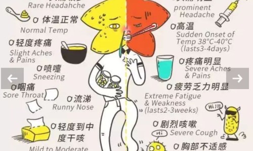 安迪康la3000狗吃好用吗-安迪康多少钱专区_安迪康招聘专区_康力士安迪胶囊副作用网